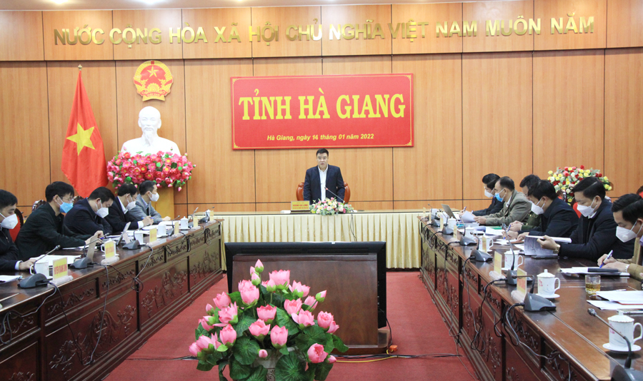 Phó Chủ tịch Thường trực UBND tỉnh Hoàng Gia Long phát biểu tại cuộc họp